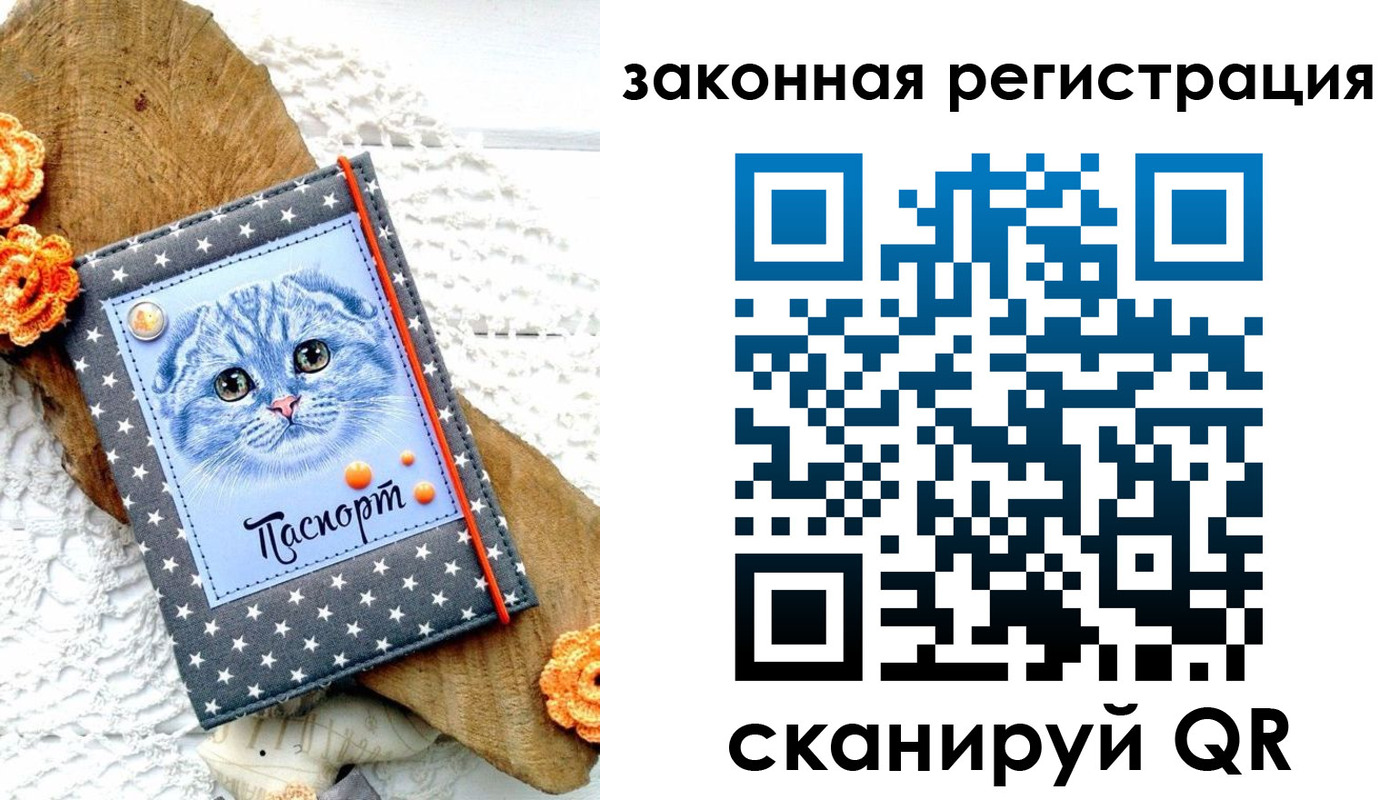 регистрация в Тереке