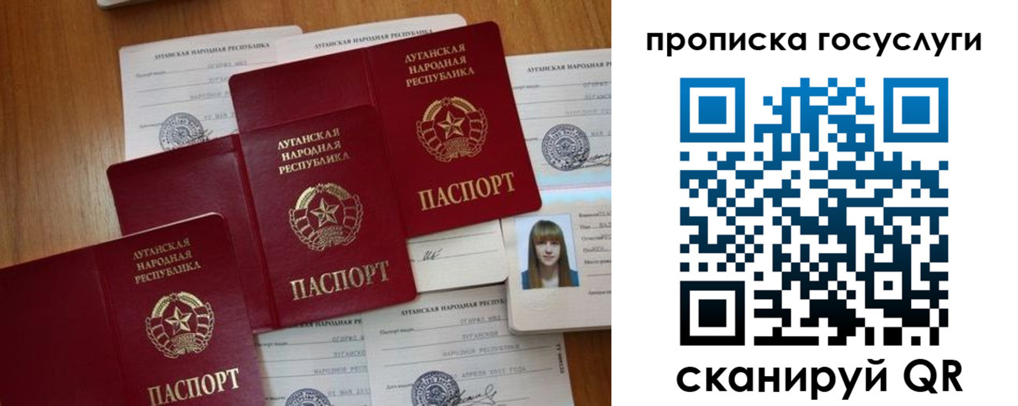 временная регистрация поиск в Тереке